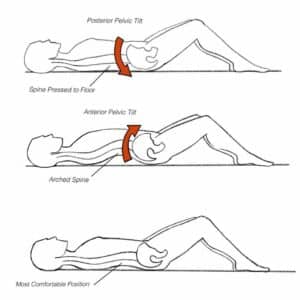 neutral spine positions